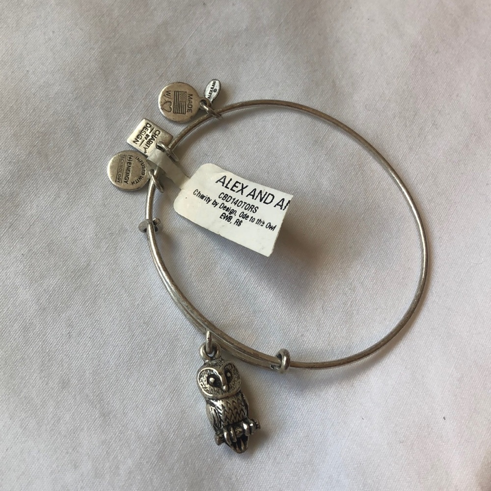Alex and and Ani Owl Charm Bracelet